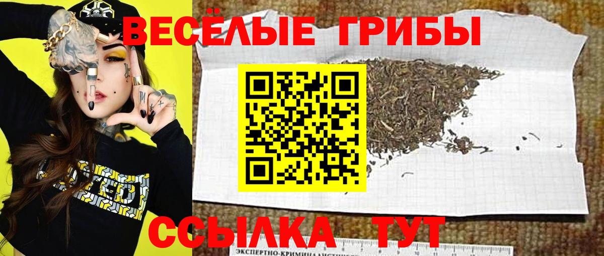 Псилоцибиновые грибы Magic Shrooms  Галлюциногенные грибы GOLDEN TEACHER  Ликино-Дулёво  наркота  Вход с VPN 